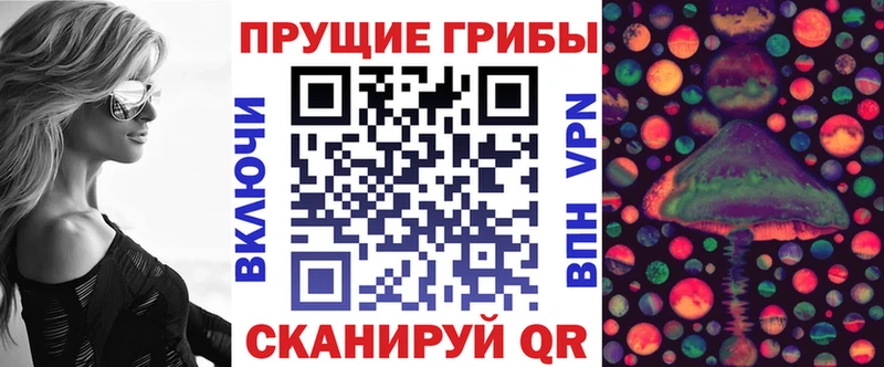 Купить закладки  Саров  Галлюциногенные грибы Psilocybine cubensis 